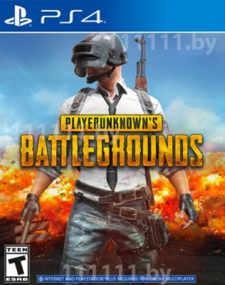 Игра для  PS4 PlayerUnknown’s Battlegrounds