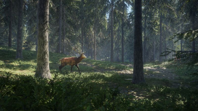 Охота для PS4 (Hunter call of the wild PS4)