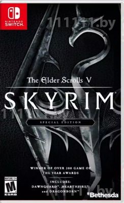 Elder Scrolls V Skyrim Nintendo Switch \\ Элдер Скролс В Скайрим Нинтендо Свитч